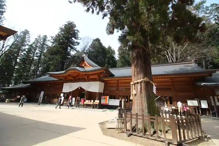 穂高神社本宮の本殿・本堂
