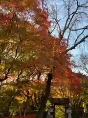 松ヶ崎大黒天 妙圓寺（妙円寺）(京都府)