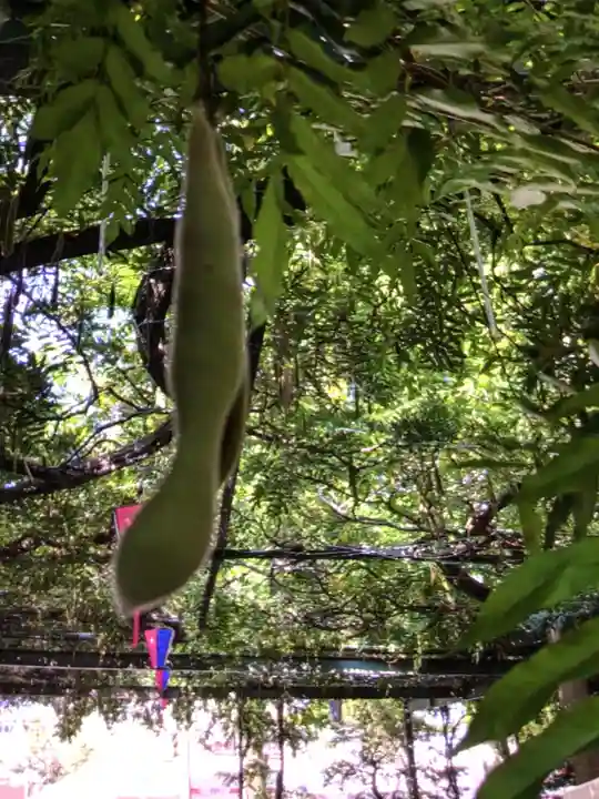 國領神社(東京都)
