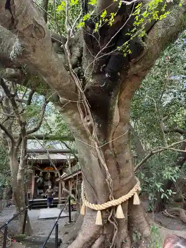 八大龍王水神(宮崎県)