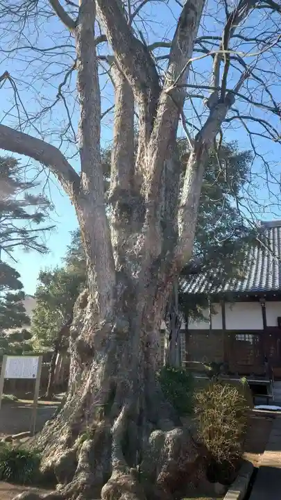龍山院(埼玉県)