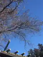 櫻木神社のその他建物