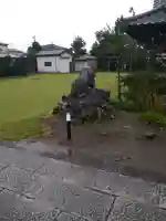 境香取神社の狛犬