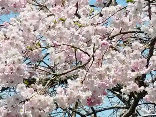 醍醐寺(京都府)
