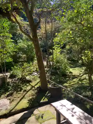 如意庵(神奈川県)