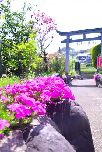 横浜御嶽神社(神奈川県)