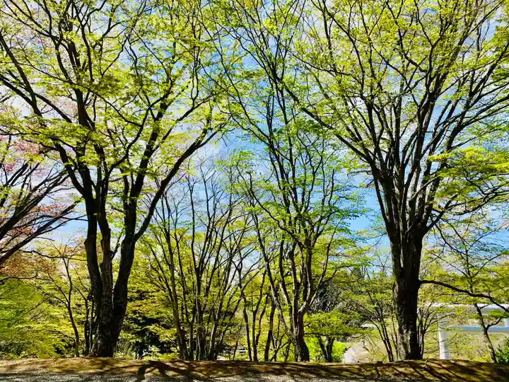 土津神社|こどもと出世の神さまの自然