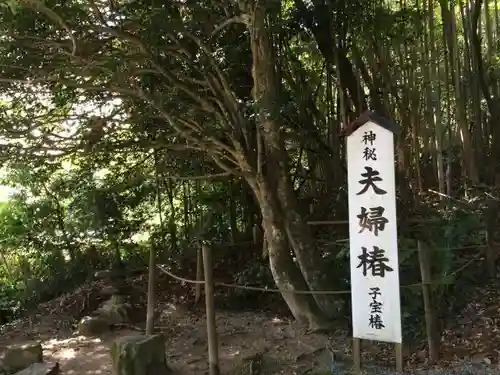 八重垣神社の自然