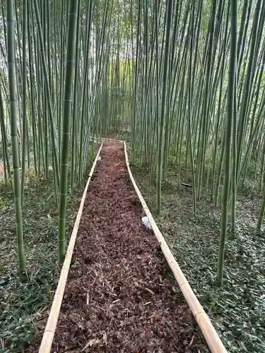 鹿王院(京都府)