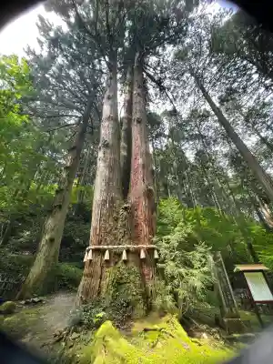 御岩神社(茨城県)