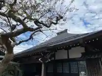 福聚寺の本殿・本堂