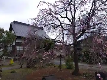 称念寺(新潟県)