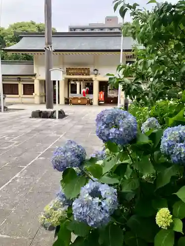 愛知縣護國神社の本殿