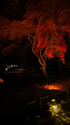 賀茂御祖神社（下鴨神社）(京都府)