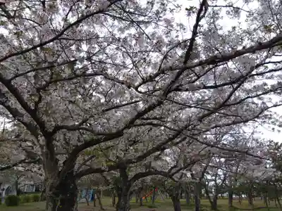 濱見神社(福井県)