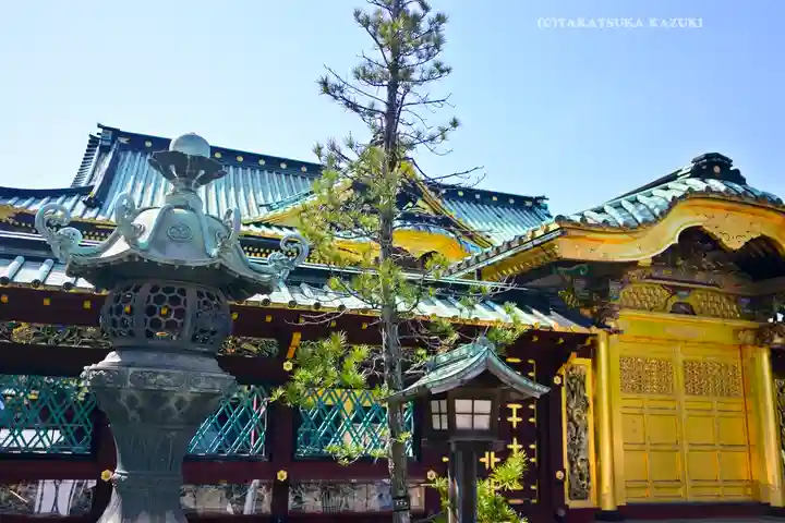 上野東照宮(東京都)