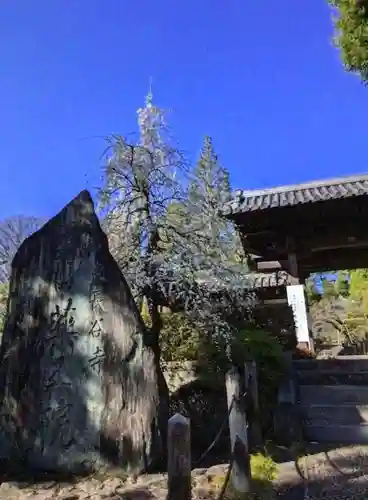 東長谷寺　薬王院(東京都)
