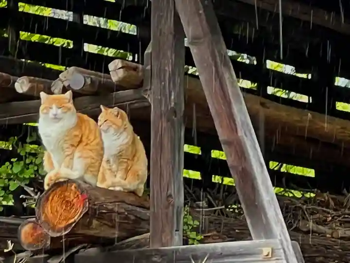 足穂神社の動物
