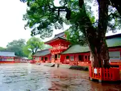 宇佐神宮(大分県)