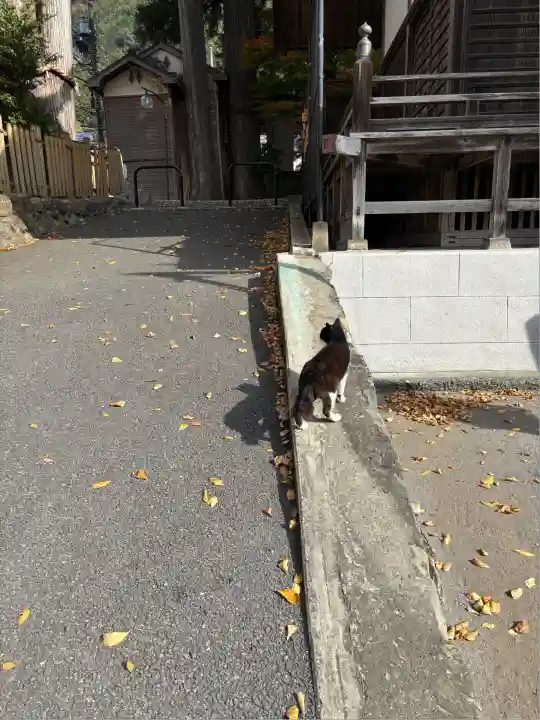 奥氷川神社(東京都)