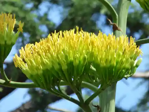 烏森神社(東京都)