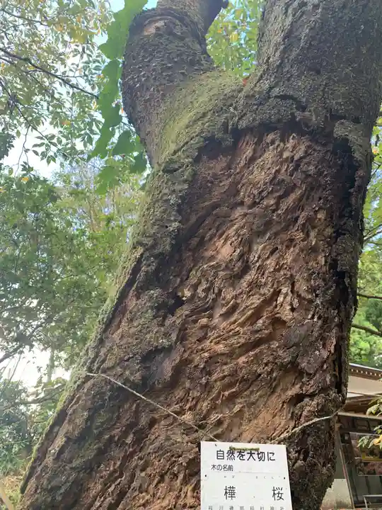磯部稲村神社(茨城県)