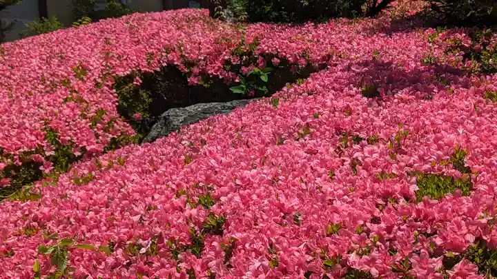 本栖寺(京都府)
