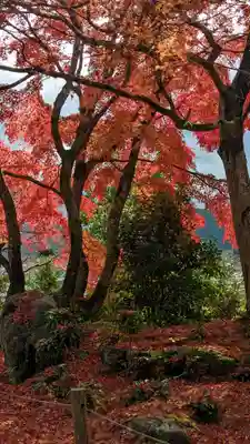 三明院(京都府)