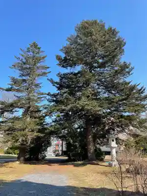 三八城神社(青森県)