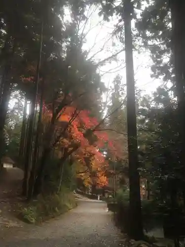 日吉大社の建物その他