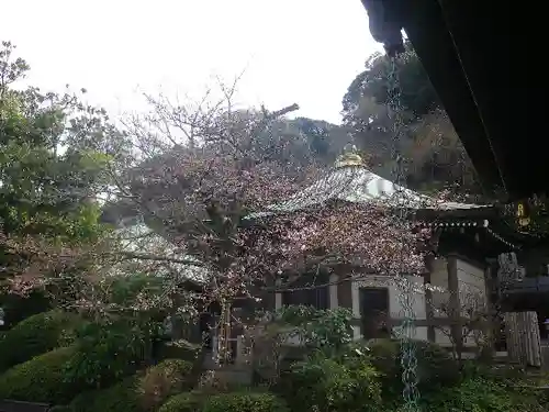 長勝寺の本殿・本堂