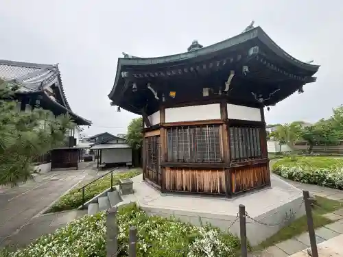 南蔵院の{uncategorized: "未分類", other: "その他", undefined: "問題あり", building: "その他建物", grave: "お墓", sacred_gate: "鳥居", guardian: "狛犬", statue: "像", buddha: "仏像", history: "歴史", nature: "自然", garden: "庭園", animal: "動物", pagoda: "塔", temizu: "手水舎", mountain_gate: "山門・神門", sanctuary: "本殿・本堂", subordinate: "末社・摂社", art: "芸術", scenery: "景色", jizo: "地蔵", ema: "絵馬", goshuin: "御朱印", omikuji: "おみくじ", items: "授与品その他", amulet: "お守り", goshuincho: "御朱印帳", eats: "食事", festival: "お祭り", votive_dance: "神楽", shichigosan: "七五三参", wedding: "結婚式", experience: "体験その他", initially: "初詣", around: "周辺", anti_infection: "感染症対策"}