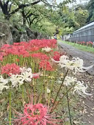横浜　西方寺(神奈川県)