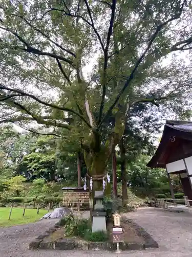 武田神社の庭園