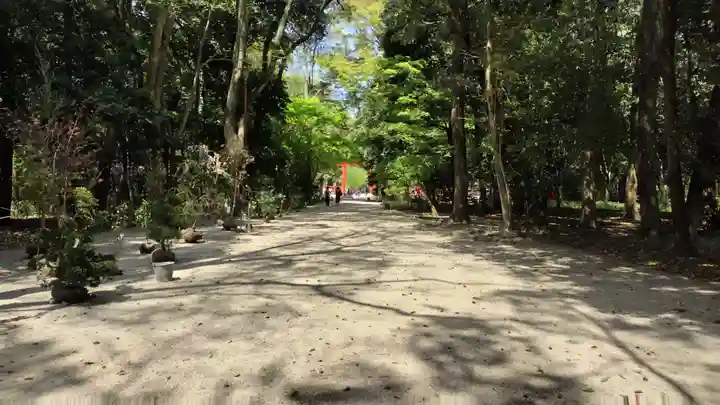 賀茂御祖神社(下鴨神社)の景色