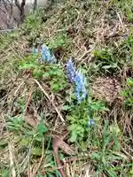 春日高台神社(北海道)