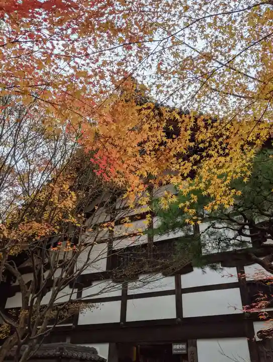 龍安寺(京都府)