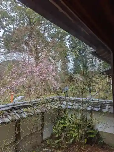 十輪寺(京都府)