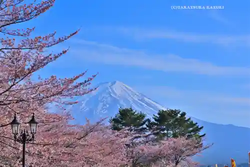 河口浅間神社(山梨県)