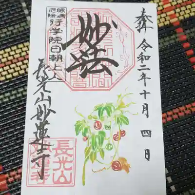 オキナワスズメウリ