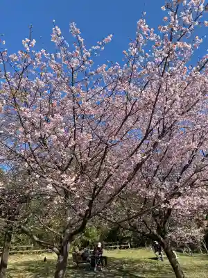 氷川女體神社の{uncategorized: "未分類", other: "その他", undefined: "問題あり", building: "その他建物", grave: "お墓", sacred_gate: "鳥居", guardian: "狛犬", statue: "像", buddha: "仏像", history: "歴史", nature: "自然", garden: "庭園", animal: "動物", pagoda: "塔", temizu: "手水舎", mountain_gate: "山門・神門", sanctuary: "本殿・本堂", subordinate: "末社・摂社", art: "芸術", scenery: "景色", jizo: "地蔵", ema: "絵馬", goshuin: "御朱印", omikuji: "おみくじ", items: "授与品その他", amulet: "お守り", goshuincho: "御朱印帳", eats: "食事", festival: "お祭り", votive_dance: "神楽", shichigosan: "七五三参", wedding: "結婚式", experience: "体験その他", initially: "初詣", around: "周辺", anti_infection: "感染症対策"}