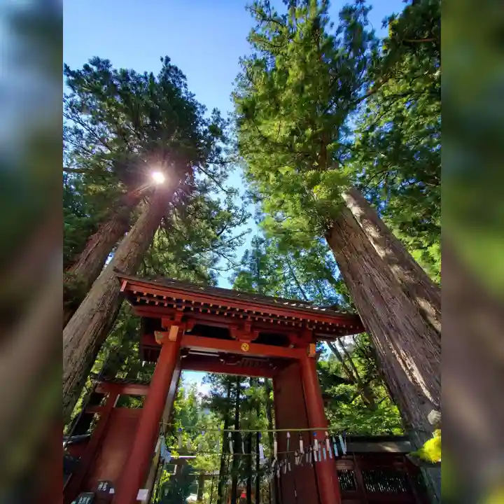 日光二荒山神社の鳥居
