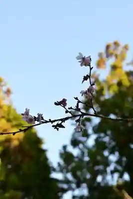 播州清水寺(兵庫県)