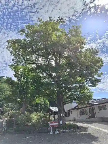 本別神社(北海道)