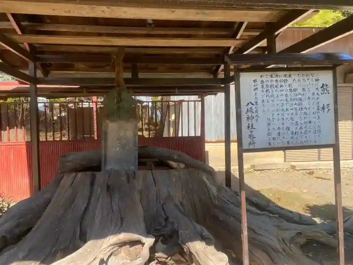 八坂神社の{uncategorized: "未分類", other: "その他", undefined: "問題あり", building: "その他建物", grave: "お墓", sacred_gate: "鳥居", guardian: "狛犬", statue: "像", buddha: "仏像", history: "歴史", nature: "自然", garden: "庭園", animal: "動物", pagoda: "塔", temizu: "手水舎", mountain_gate: "山門・神門", sanctuary: "本殿・本堂", subordinate: "末社・摂社", art: "芸術", scenery: "景色", jizo: "地蔵", ema: "絵馬", goshuin: "御朱印", omikuji: "おみくじ", items: "授与品その他", amulet: "お守り", goshuincho: "御朱印帳", eats: "食事", festival: "お祭り", votive_dance: "神楽", shichigosan: "七五三参", wedding: "結婚式", experience: "体験その他", initially: "初詣", around: "周辺", anti_infection: "感染症対策"}