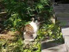 施福寺(大阪府)