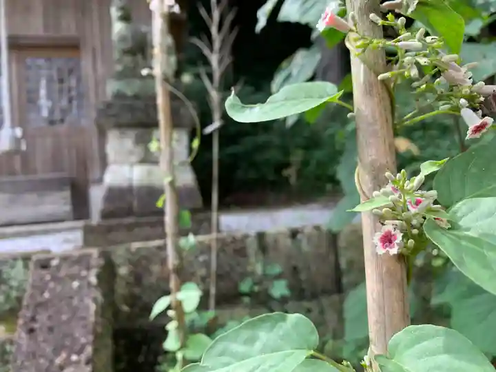 楡木神社の自然