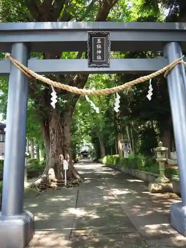 五社神社の鳥居