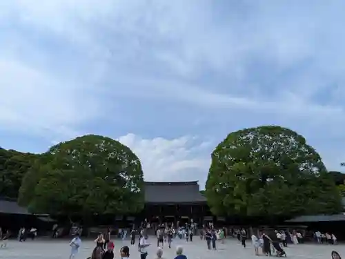 明治神宮(東京都)