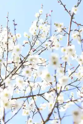 常樂寺(滋賀県)